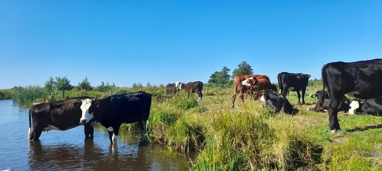 Huisje Beukers Villa Giethoorn Eksteriør bilde