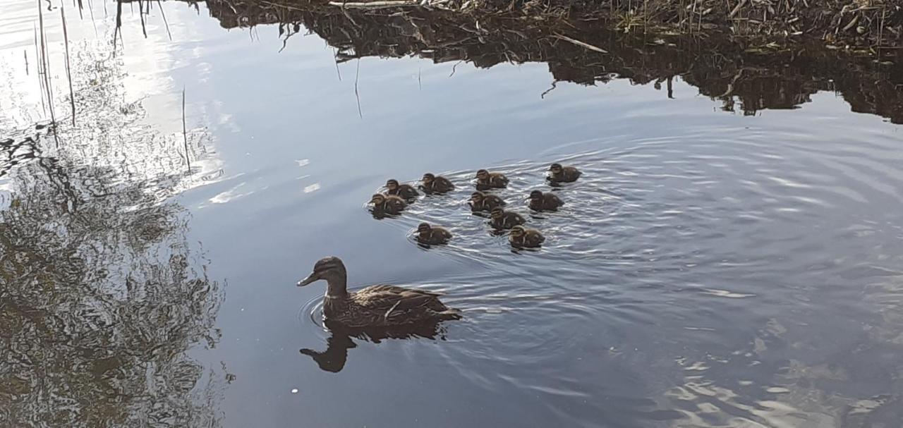 Huisje Beukers Villa Giethoorn Eksteriør bilde