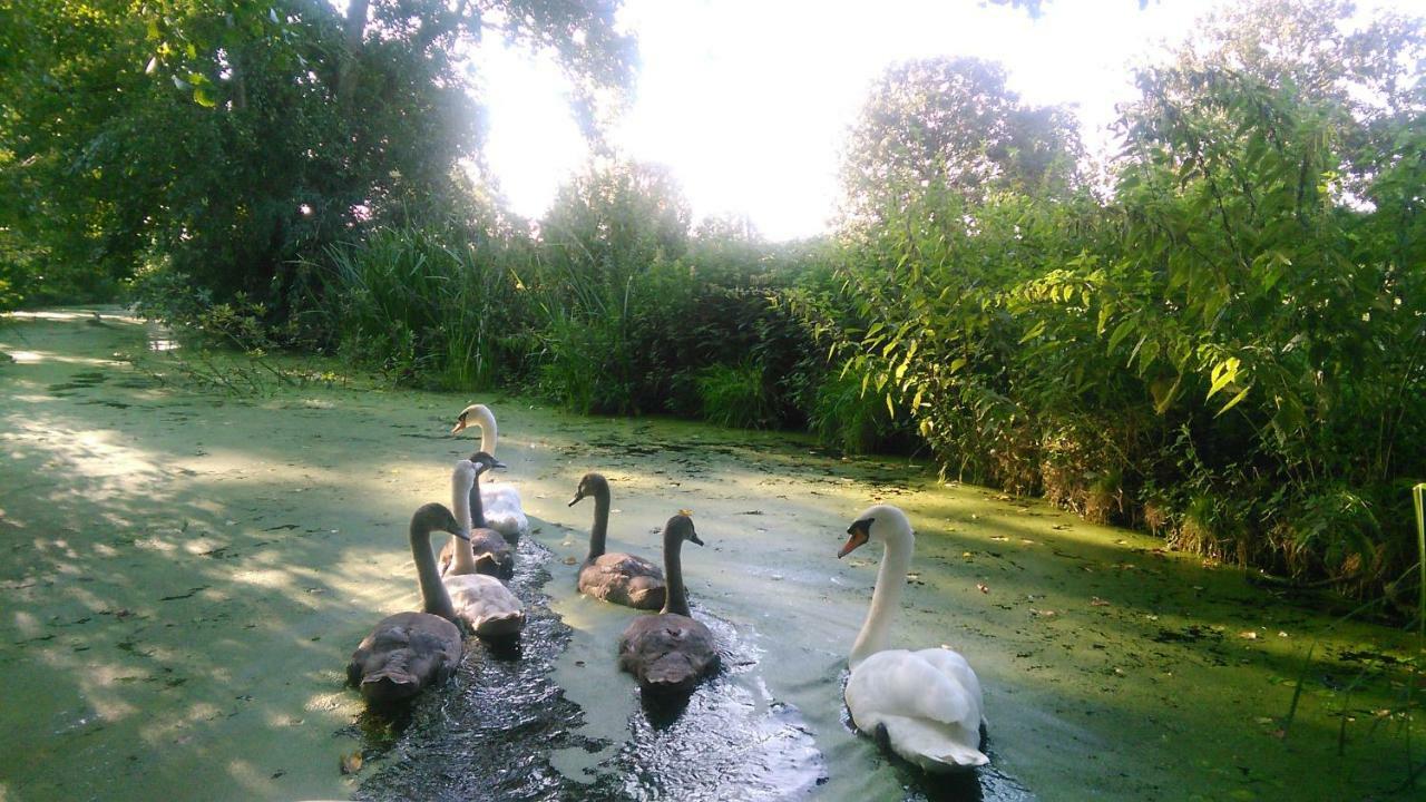 Huisje Beukers Giethoorn Eksteriør bilde